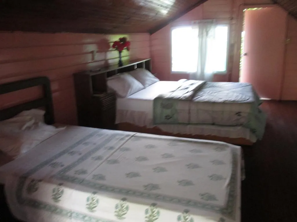 ** Guest house Hotel Flemming Tree Providencia Island Colombia