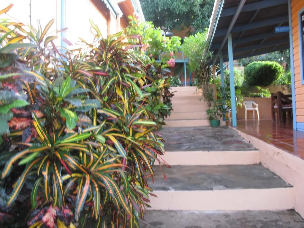 Hotel Flemming Tree Providencia Island Guest house