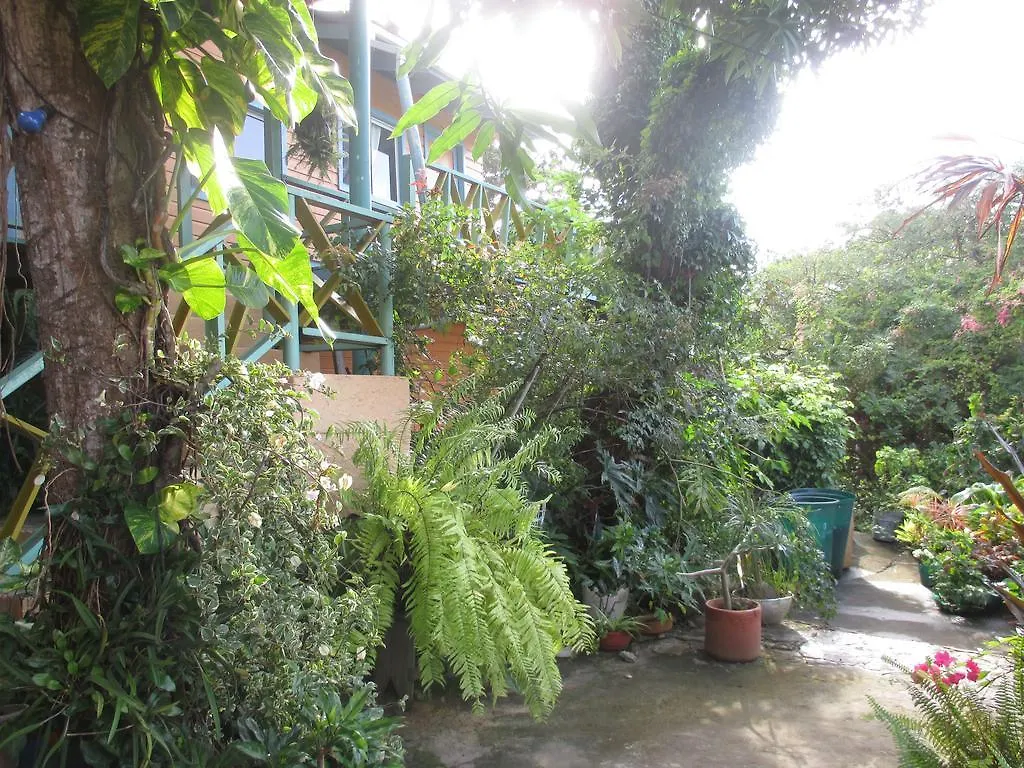Guest house Hotel Flemming Tree Providencia Island