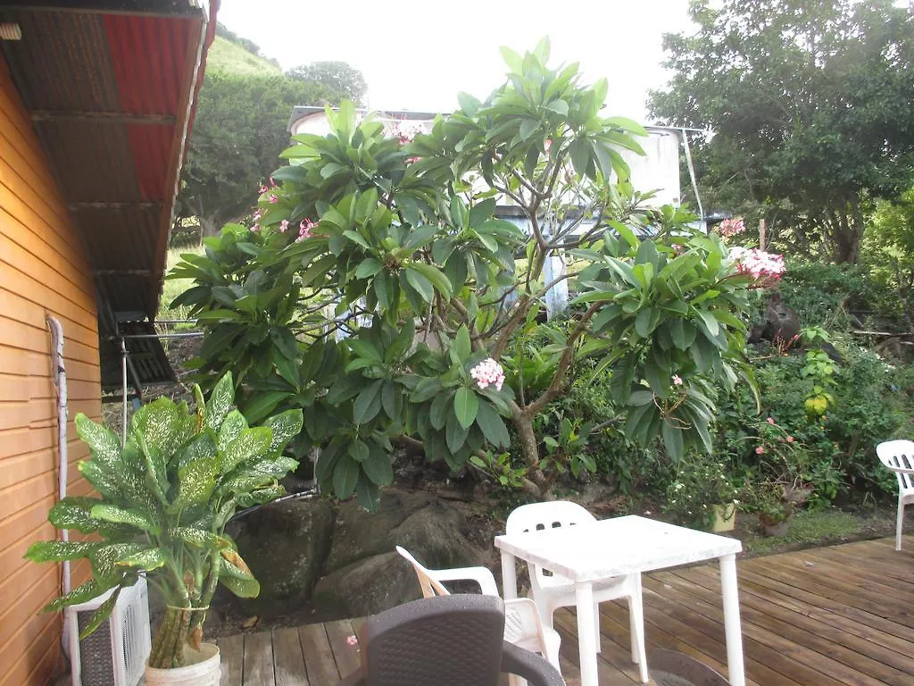 Hotel Flemming Tree Providencia Island Guest house